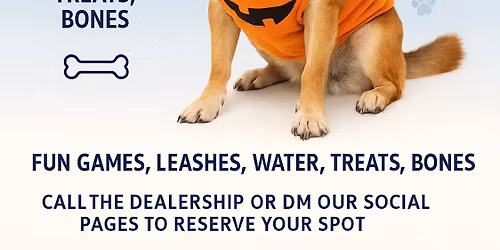 Trunk or Treat for Dogs !\ud83d\udc15 \ud83d\udc36