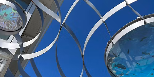 Stories of Home: A Community Short Film Screening (Part 2 of 2)