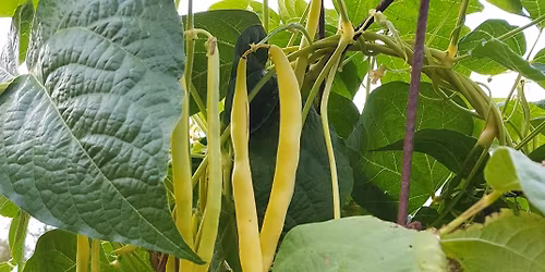 F\u00f6rel\u00e4sning med Philip Larsson - Hur vi tar hand om jorden