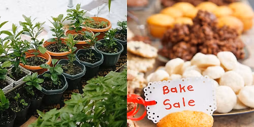 Annual Plant and Bake Sale