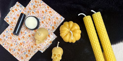 Wildflower Halloween Honey Bees Wax  Workshop
