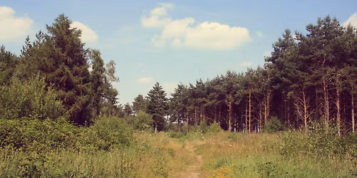 Shawbury