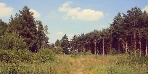 Shawbury