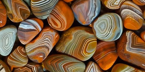 January Club Monthly Meeting