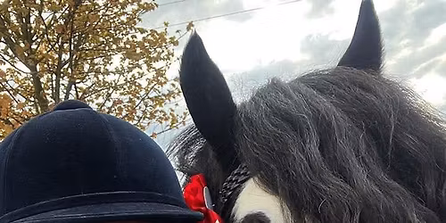 NDHS@CANAANFARM OPEN SHOW