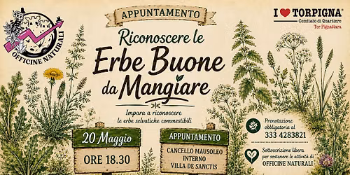 \ud83c\udf3f RICONOSCERE LE ERBE BUONE DA MANGIARE \ud83c\udf3f