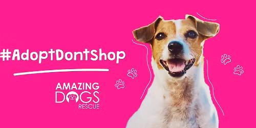 San Francisco (Daly City), CA - Amazing Adoption Event