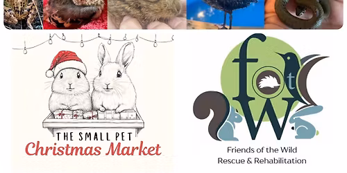 Small Pets Christmas Market - Fundraiser