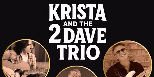 Krista And The 2 Dave Trio at The Donegal Arms