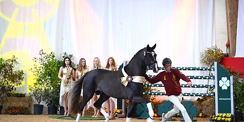 DSP-Hengsttage vom 21. bis 24. Januar 2026, M\u00fcnchen-Riem