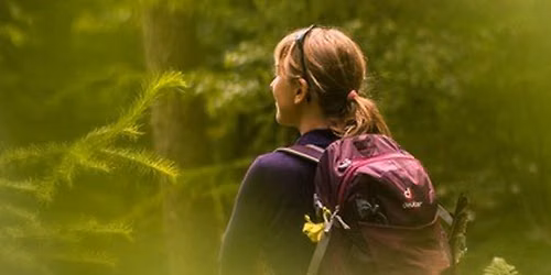 Forest Bathing 