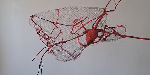 The Anatomy of fallout 