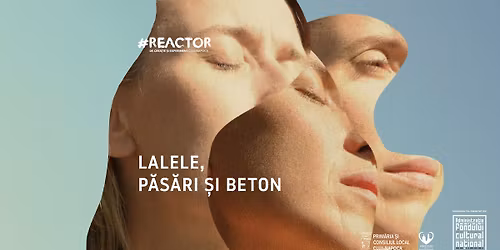 Lalele, p\u0103s\u0103ri \u0219i beton