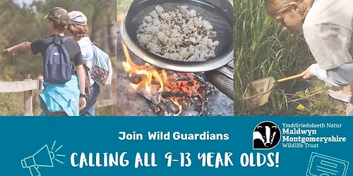 Wild Guardians After School Adventure