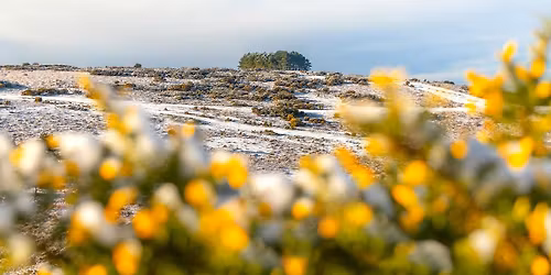 Walk With The Wardens