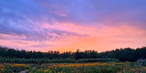 Golden Hour Bloom: Sound Bath, Yoga & Flower Picking