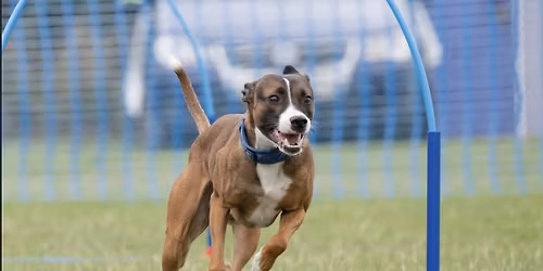 Hoopers distance skills workshop with Emma Morton 