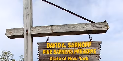 David A. Sarnoff Preserve - Long Island Pine Barrens