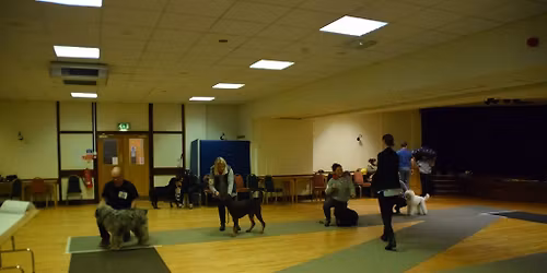 Yew Tree Canine Society Limit Show 