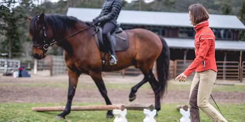 Jec Aristotle- Ballou Clinic