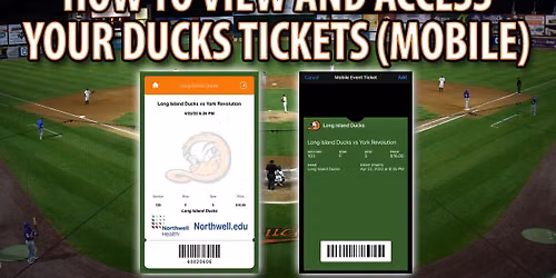 Long Island Ducks at York Revolution at WellSpan Park