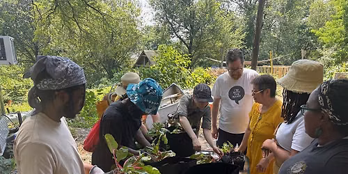 What\u2019s Eating My Plant Problem Solving Workshop
