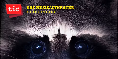 Waschb\u00e4ralarm am Herkules