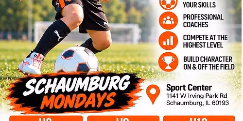 FREE SOCCER LESSONS
