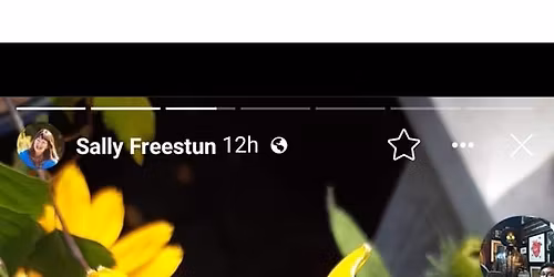 The Way of the Shaman 