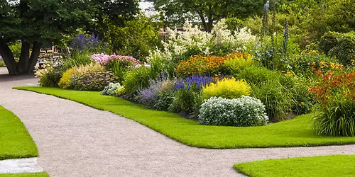 Willamette Rose | Urban Forest Bath & River Walk