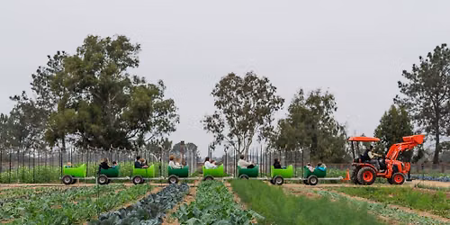 Weekend Farm Tours