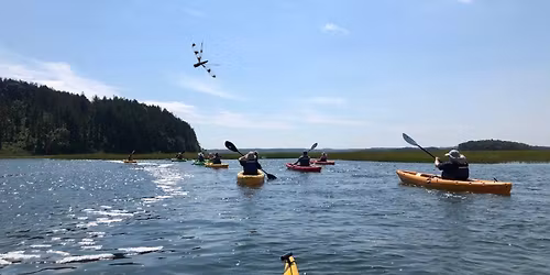 Guided Kayak Adventure at Crane Beach: Car-Free Day Trip from Boston