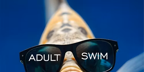 Adult Swim at Shy Bear