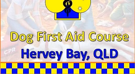 Hervey Bay 02\/11\/2025 - Dog First Aid Course