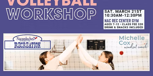 Volleyball Workshop