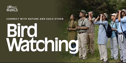 Bird Watching