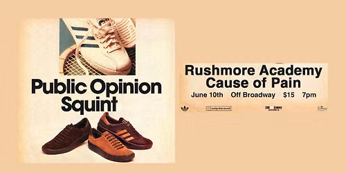 Public Opinion