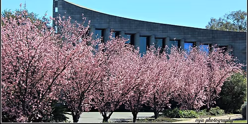 Elders\/Seniors Day Celebration