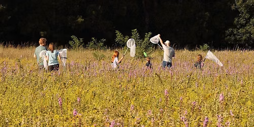 Monarch Butterfly Journey