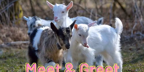 Animal Meet & Greet - FREE Park day!
