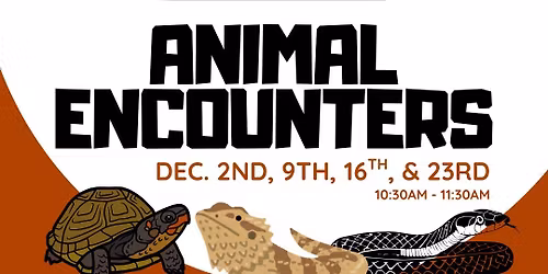 Animal Encounters