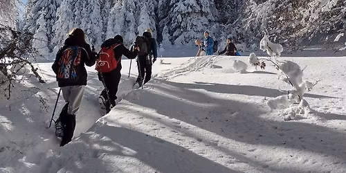 \u041d\u043e\u0432\u0430 \u0433\u043e\u0434\u0438\u043d\u0430 \u0432 \u0420\u043e\u0434\u043e\u043f\u0438\u0442\u0435 \u2764\ufe0f