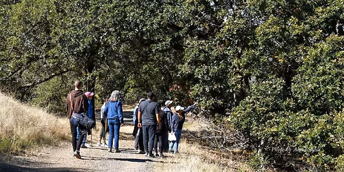 Senderos: Los Wappo en Wilikos