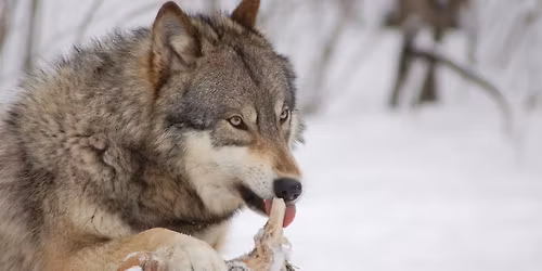 What’s for Dinner?