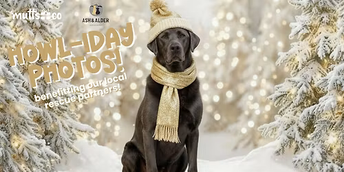 Howl-iday Photos benefitting New Albany Pet Rescue! (Lewis Center)