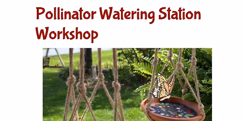 Pollinator Watering Station Workshop