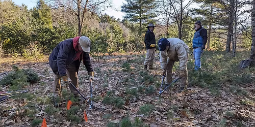 Coolbough Natural Areas TLC Volunteer Workday