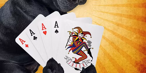 Mikey B & the Trixters