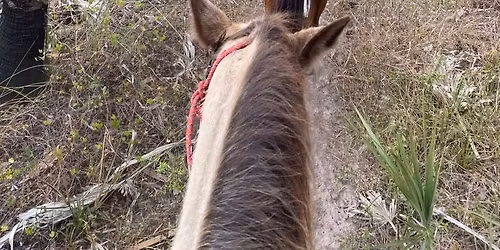 Hoof & Hike Poker Run- Horseback Riding or Hiking Fundraiser