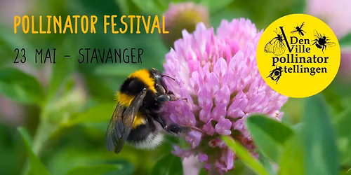 Pollinator festival \u2013 Stavanger